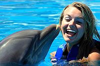 Cabo Dolphin Swim