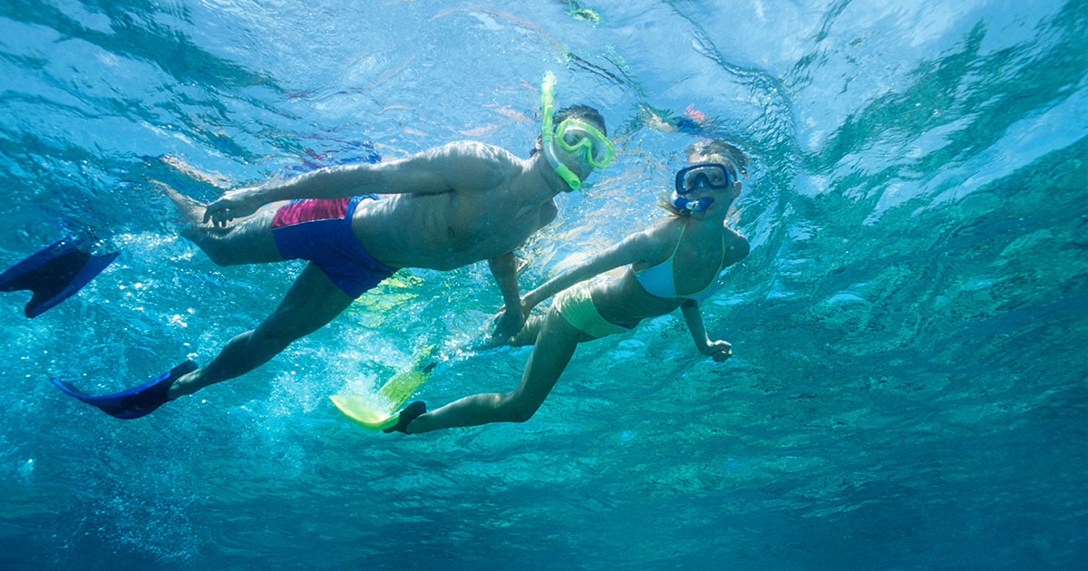 Cabo Pulmo Snorkeling in Cabo San Lucas