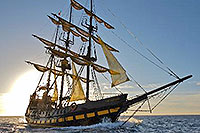 Los Cabos Pirate Catamaran