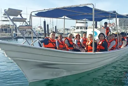 Fast Boat Whale Watch Cabo