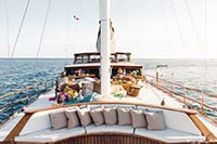 Cabo Luxury Sailboat