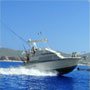 Cabo San Lucas Fishing