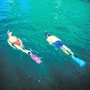Snorkeling Tours in Los Cabos