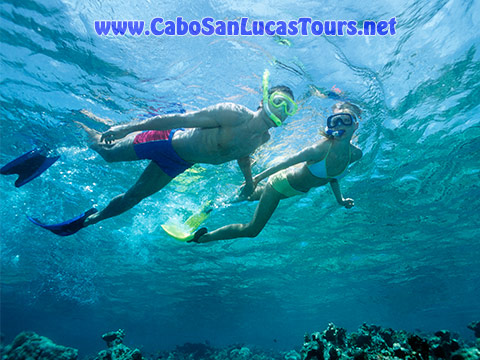 Private Snorkeling Charter Cabo